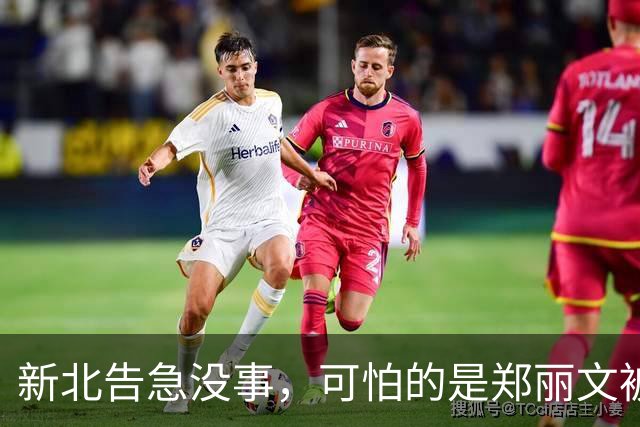 新北告急没事，可怕的是郑丽文被内鬼逼到赌最后一把：输了或退位