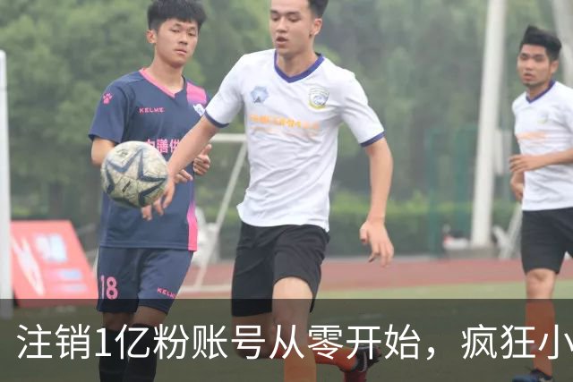 注销1亿粉账号从零开始，疯狂小杨哥摸着东方甄选过河？